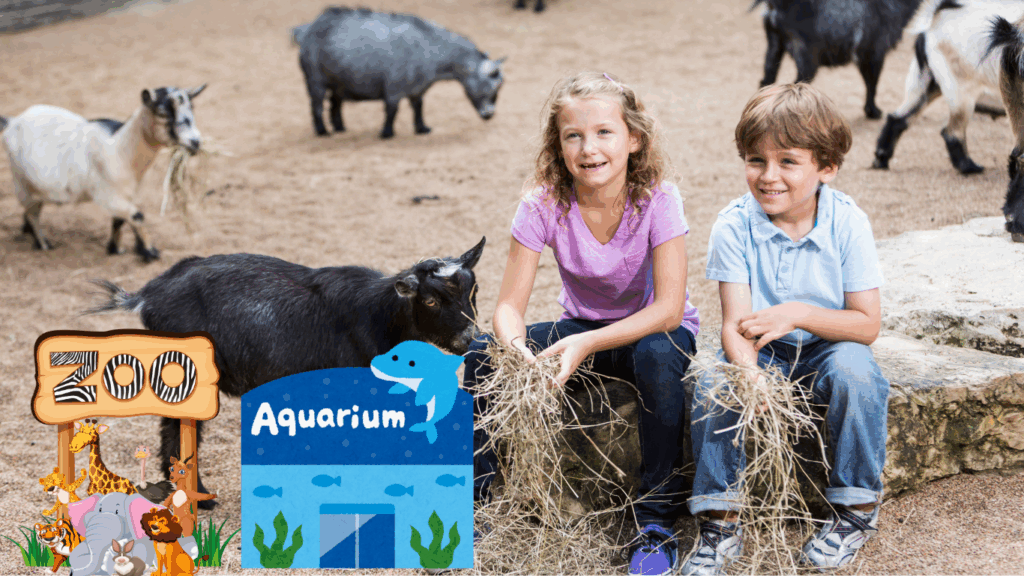 Community participation